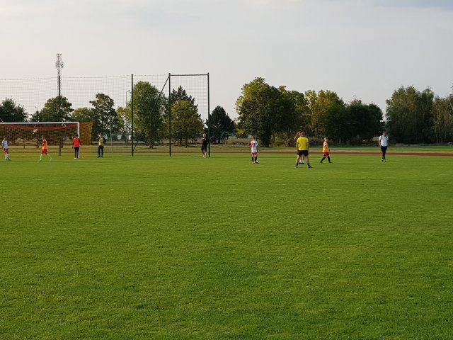 dor 14